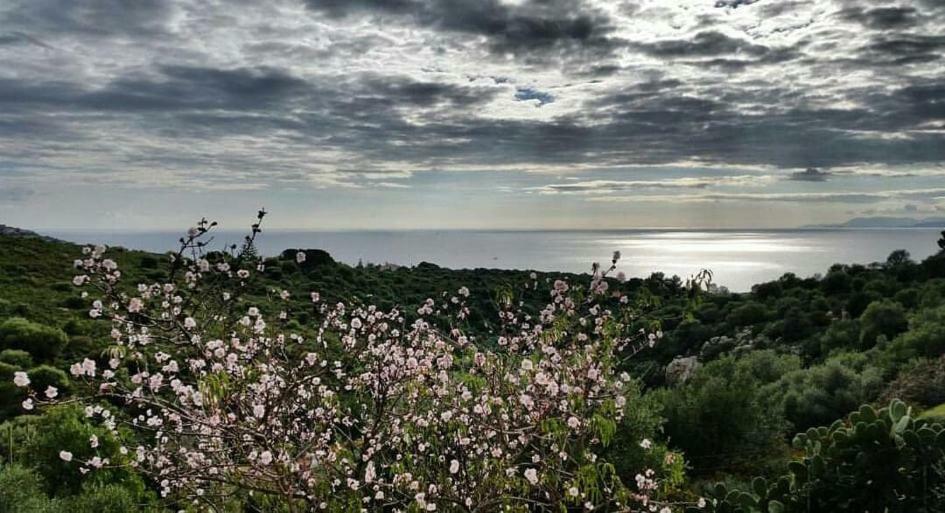 Hotel Salmagilandia Terra Mala Zewnętrze zdjęcie