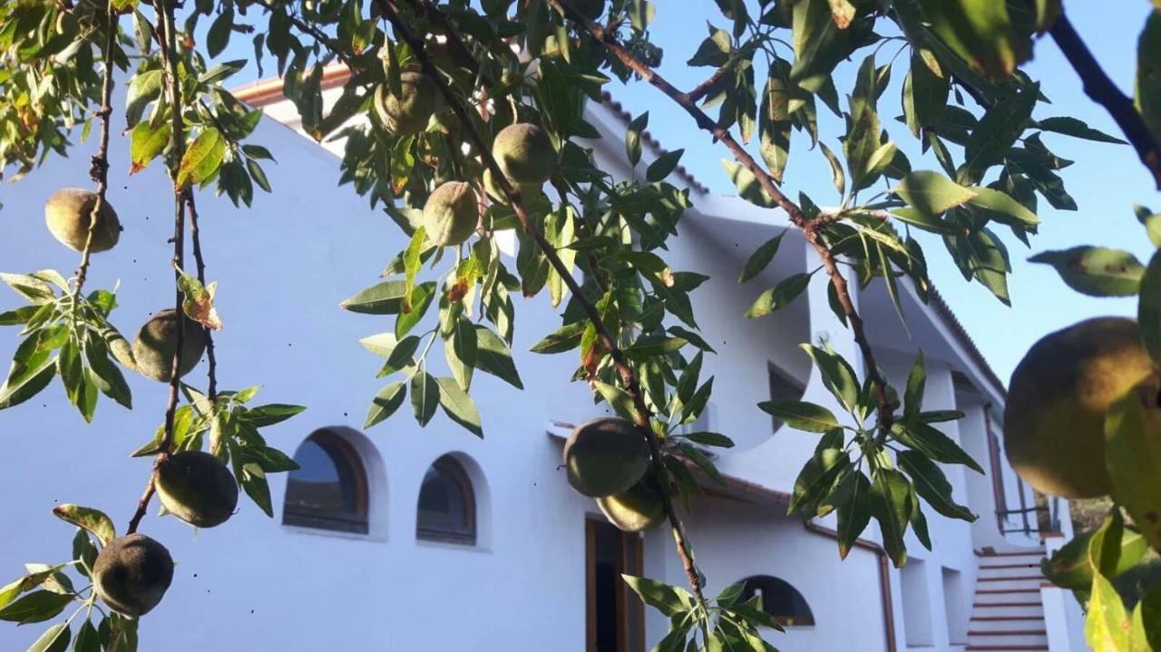 Hotel Salmagilandia Terra Mala Zewnętrze zdjęcie